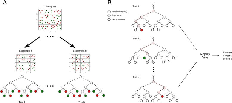 graphical-presentation-of-the-random-survival-forest-rsf-algorithm