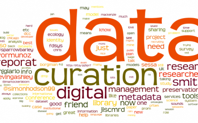 The Role of Data Curation in Big Data