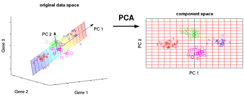 pca knn python