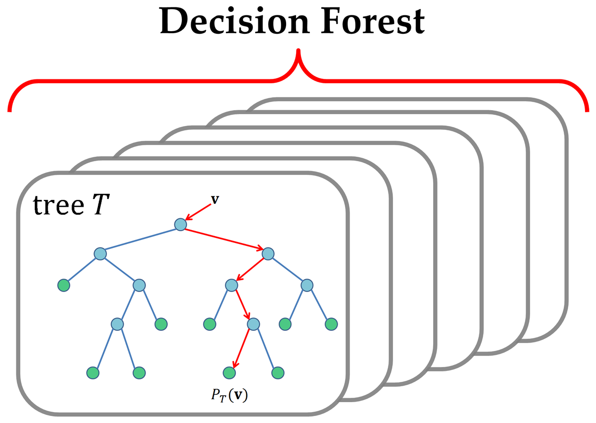 Random forest машинное обучение